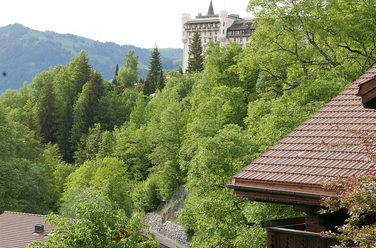 Appartement Tree-Tops, Chalet
