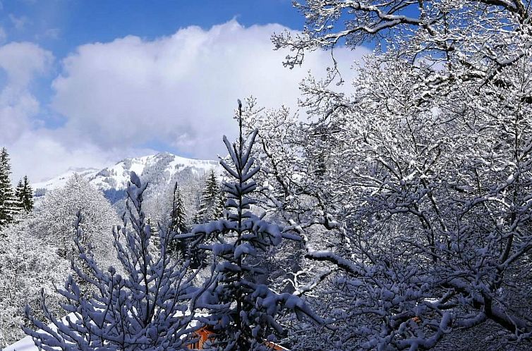 Appartement Tree-Tops, Chalet
