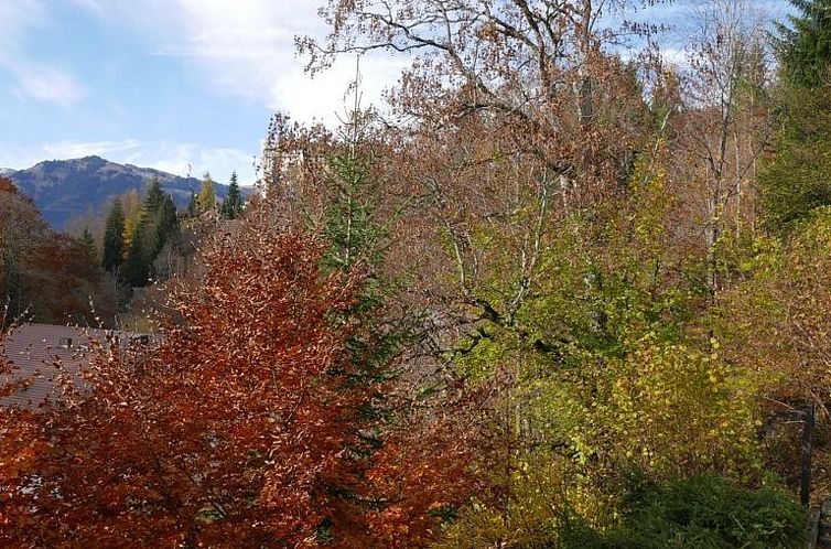 Appartement Tree-Tops, Chalet