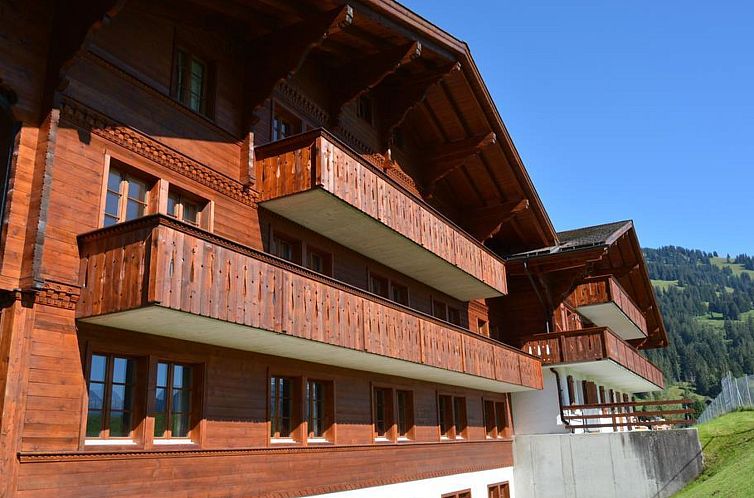 Appartement Henry (1. Stock) Appartement/Fewo, Dusche oder B