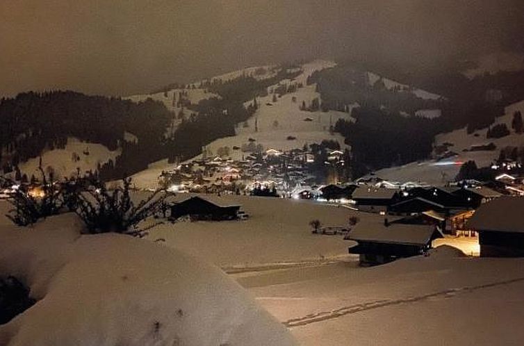 Appartement Les Hivernants (EG links) Appartement/Fewo, Dusc