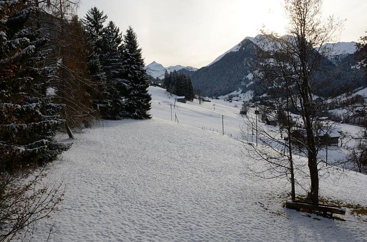 Appartement Les Erables, Chalet Appartement/Fewo, Dusche ode
