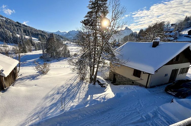 Appartement Ariel Appartement/Fewo, Dusche oder Bad, WC 8-Be