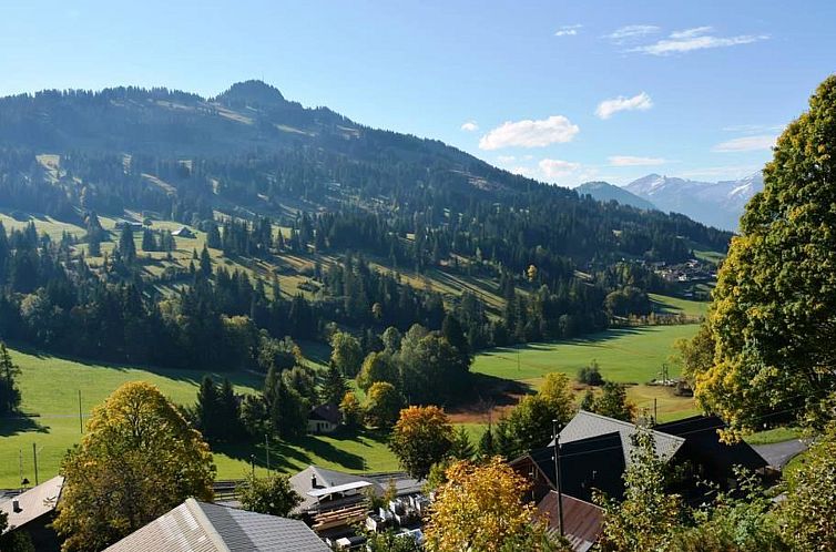 Appartement La Ruche, Chalet Appartement/Fewo, Dusche oder B