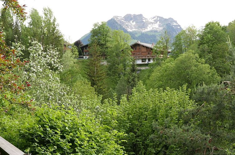 Appartement Tree-Tops, Chalet Appartement/Fewo, Dusche und B