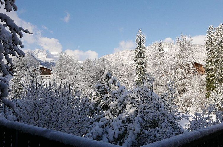 Appartement Tree-Tops, Chalet Appartement/Fewo, Dusche und B