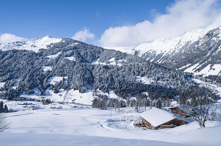 Appartement Am Bächli
