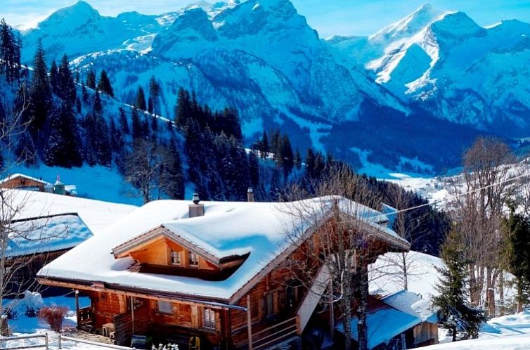 Appartement Am Bächli