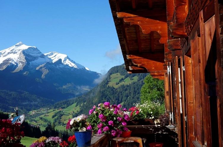 Appartement Am Bächli