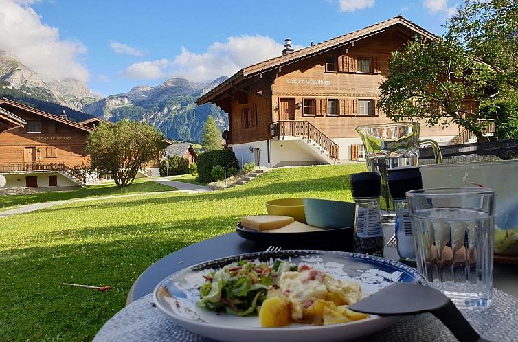 Appartement Spitzhorn Nr. 1