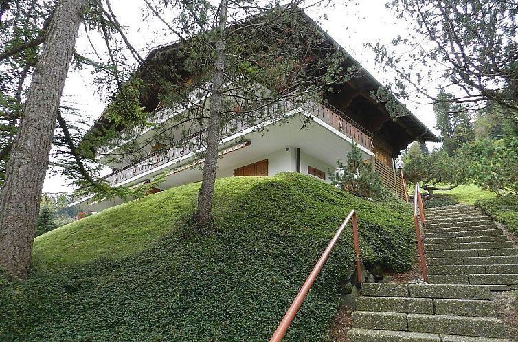 Appartement Hornflue (Baumann)