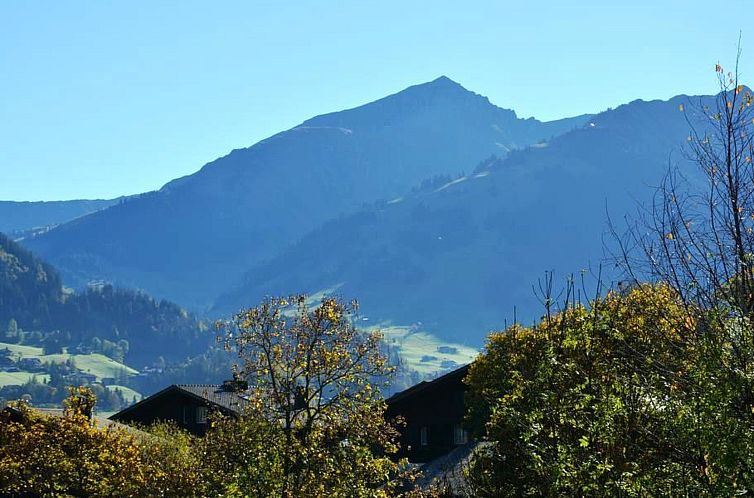 Appartement Hornflue (Baumann)