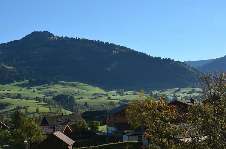 Appartement Hornflue (Baumann)