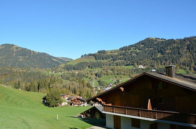 Appartement Hornflue (Baumann)