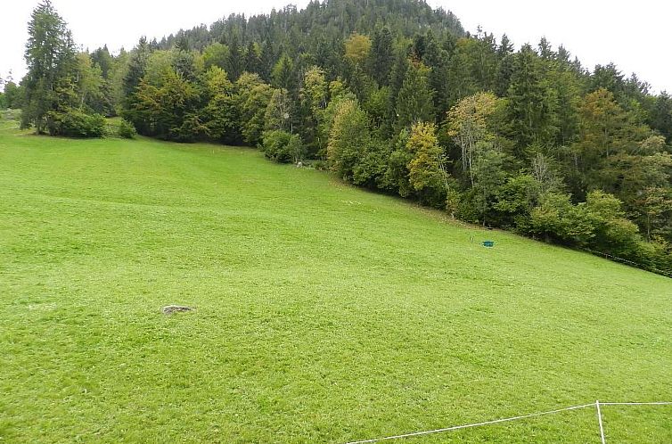 Appartement Hornflue (Baumann)