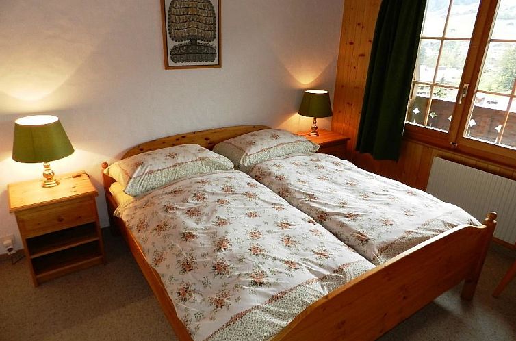 Appartement Hornflue (Baumann)