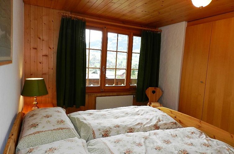 Appartement Hornflue (Baumann)