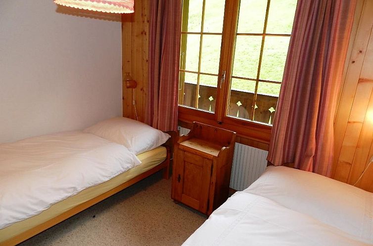 Appartement Hornflue (Baumann)
