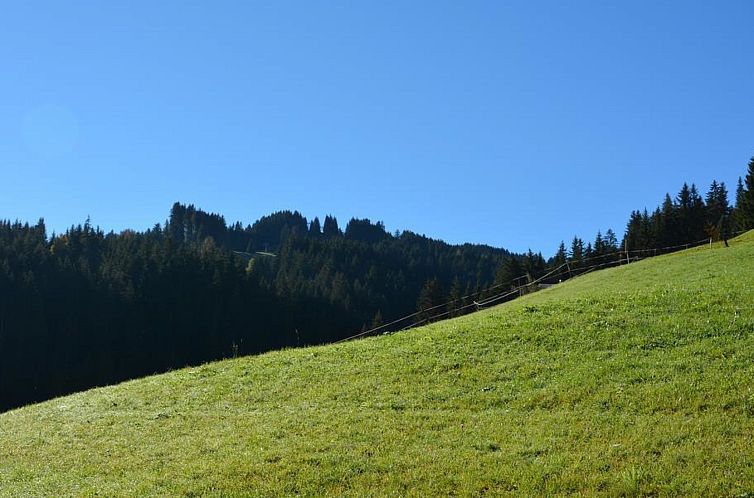 Appartement Hornflue (Wohlwender)