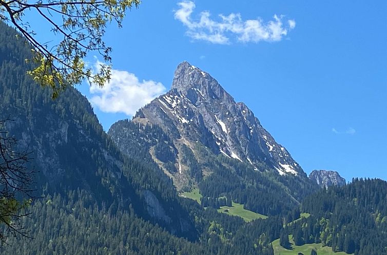 Appartement Malgré-tout