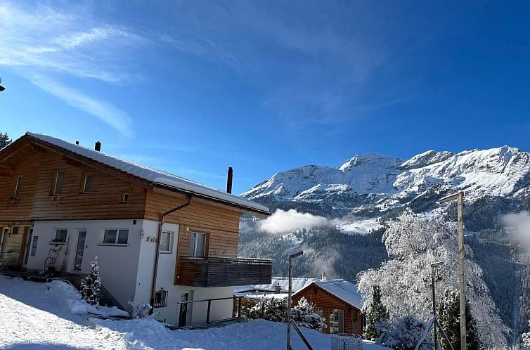 Appartement Chalet Viola