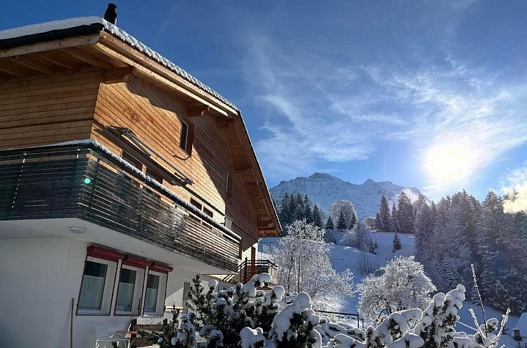 Appartement Chalet Viola