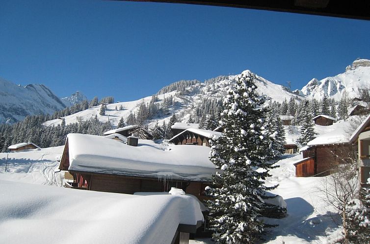 Appartement Panorama Luxury