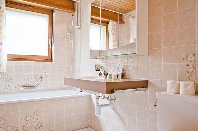 Appartement Apartment Aare