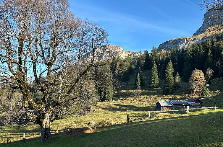 Appartement Im Obhegli