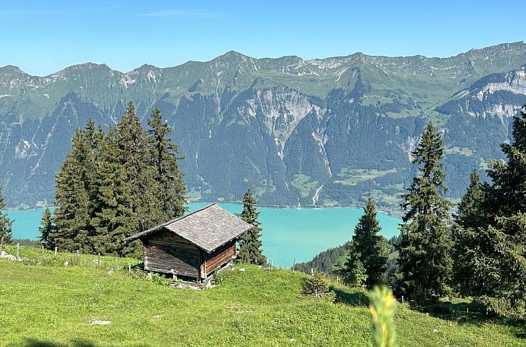 Appartement Im Obhegli