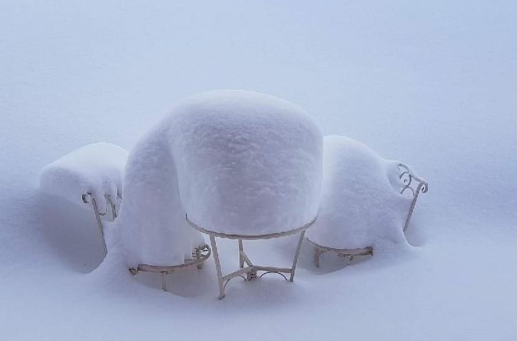 Vakantiehuis Chalet Birki Axalp