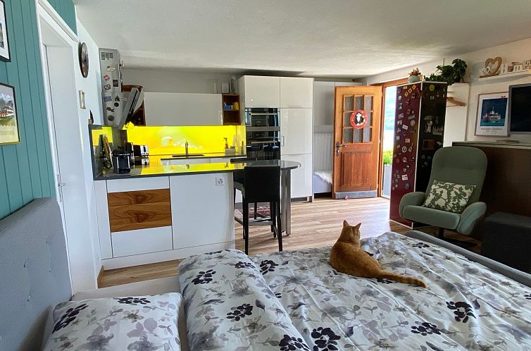 Appartement Studio Brienz