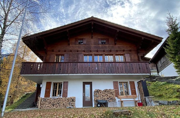 Vakantiehuis Chalet Specht