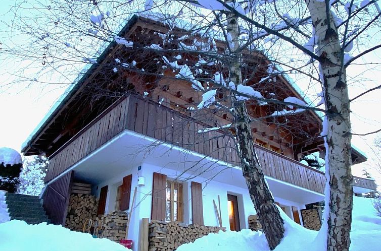 Vakantiehuis Chalet Specht