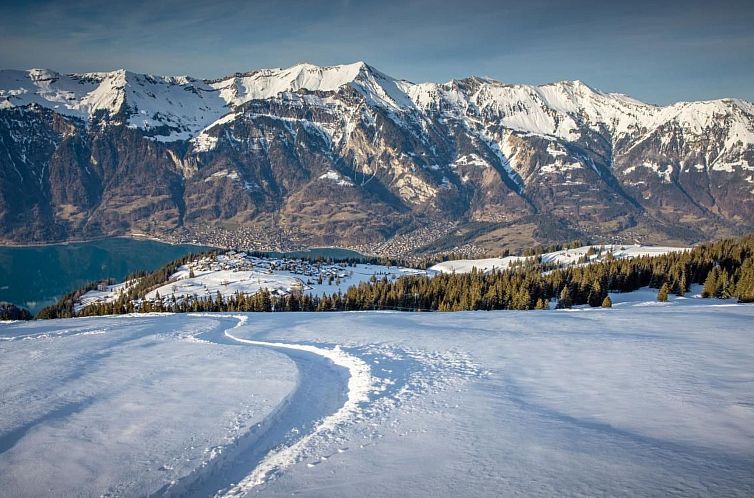 Vakantiehuis Chalet Specht