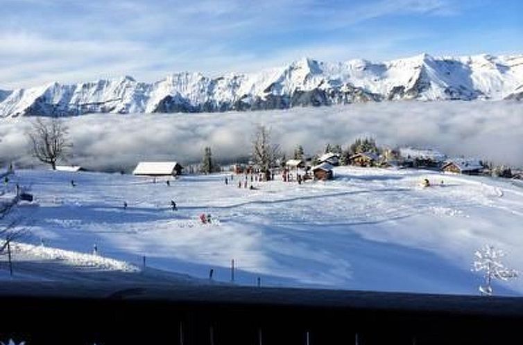Appartement Gemütliche Ferienwohnung auf der Axalp