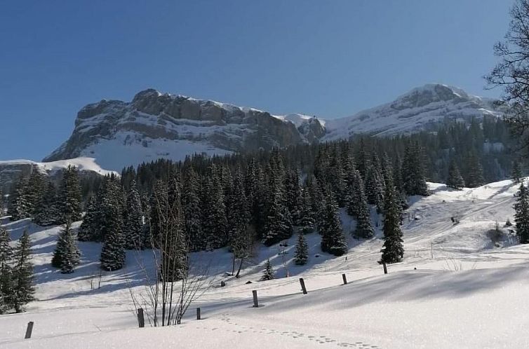 Appartement Hüttbödeli