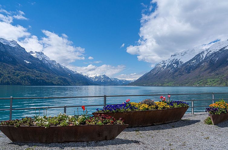 Appartement StayBrienz Apartment