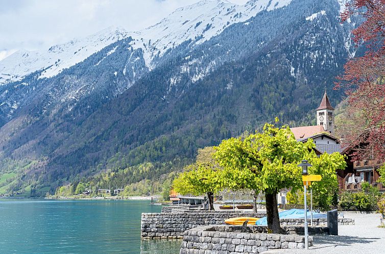 Appartement StayBrienz Apartment