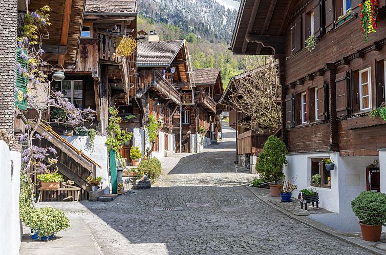 Appartement StayBrienz Apartment