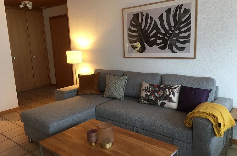 Appartement Seeblick (Adler de la Gare) Appartement/Fewo 5-B