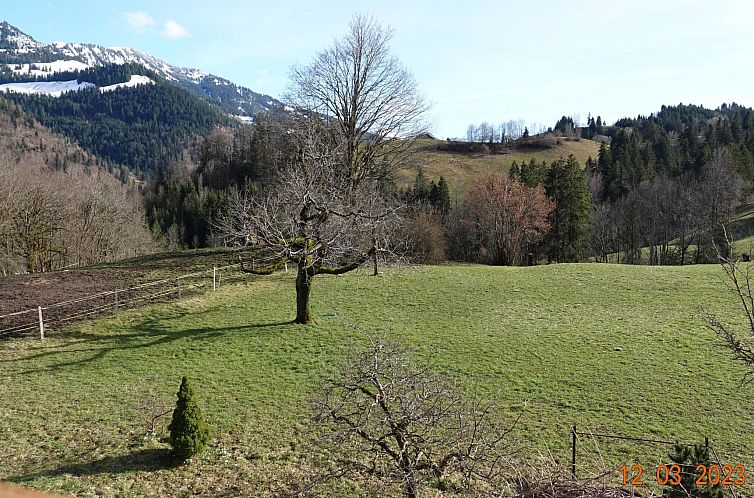 Appartement Ferienwohnung Haltenboden