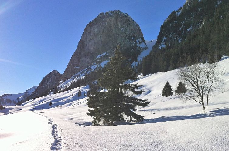 Appartement Adlemsried