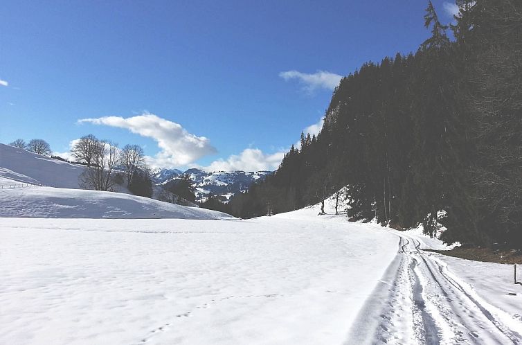 Appartement Adlemsried