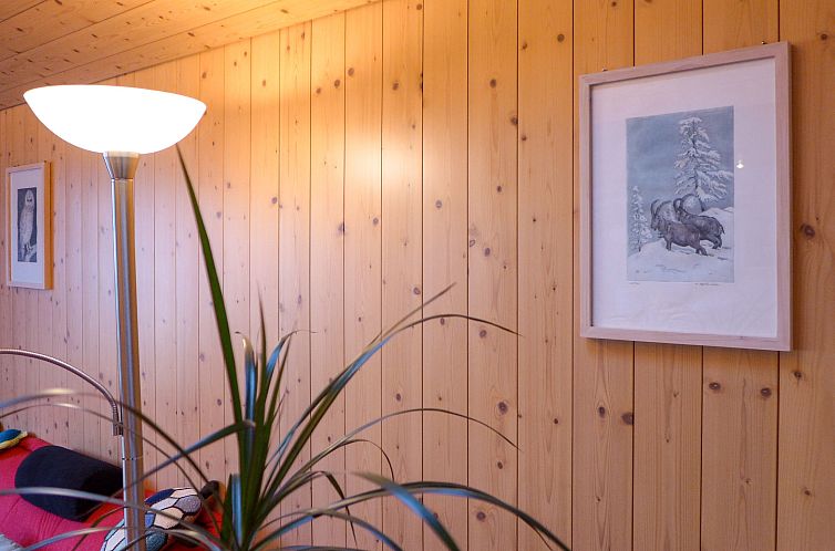 Vakantiehuis Reindli