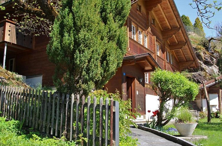 Vakantiehuis Chalet 9