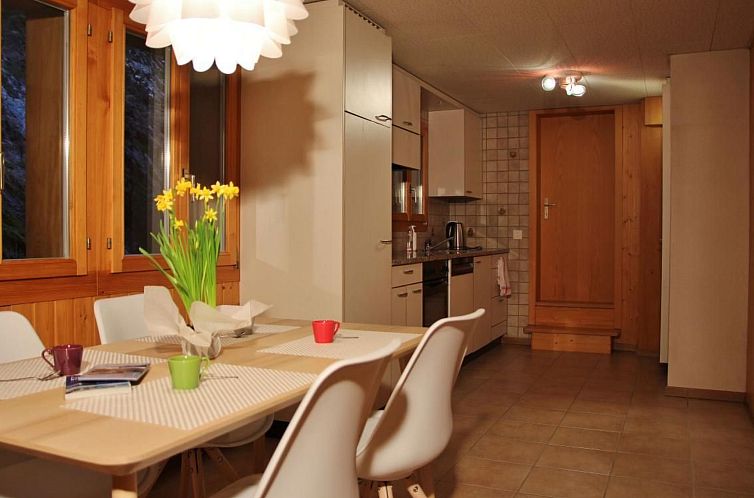 Vakantiehuis Chalet 9
