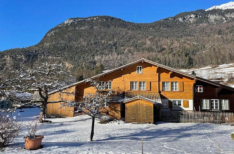 Appartement Alpine Home Streich