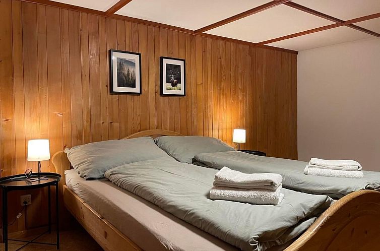 Appartement Alpine Home Streich