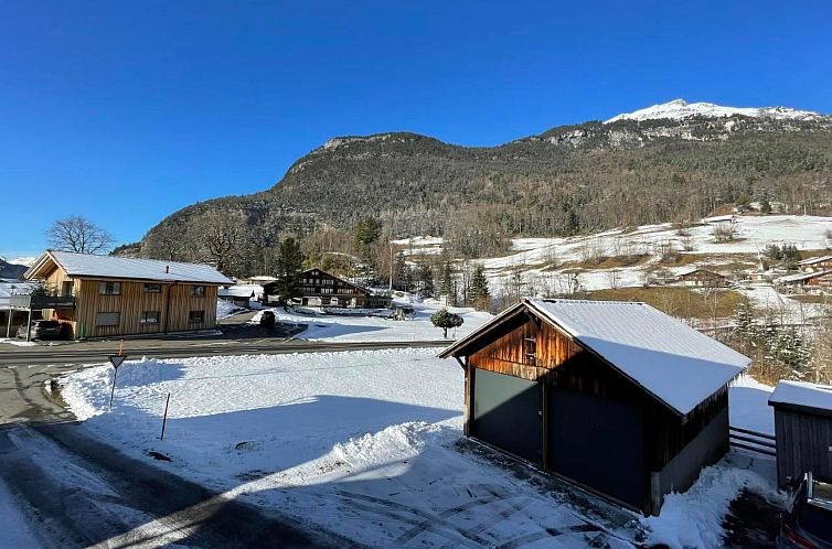 Appartement Alpine Home Streich